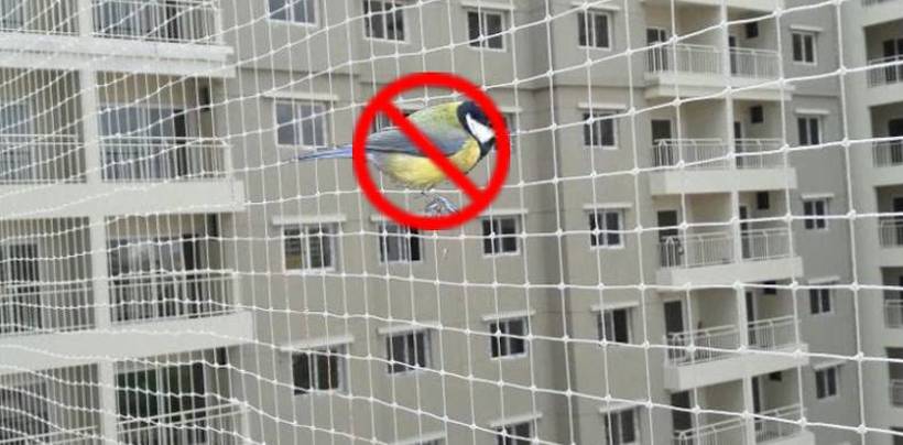 Bird Netting Cost in Bangalore | Call 8105172003 for High Quality Net