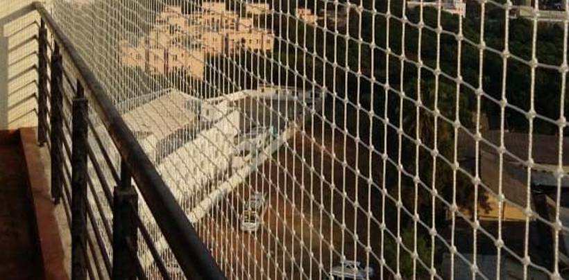 Bird Protection Nets In Bangalore | Call 8105172003 for Free Inspection