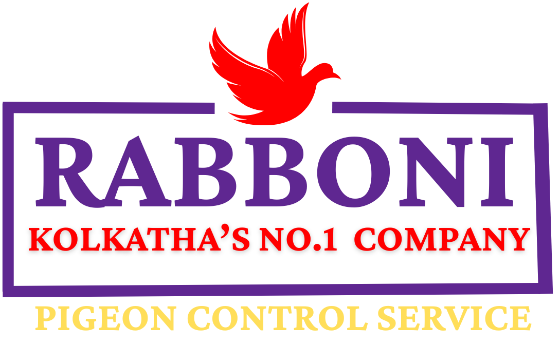 Rabboni Safety Nets in Kolkata