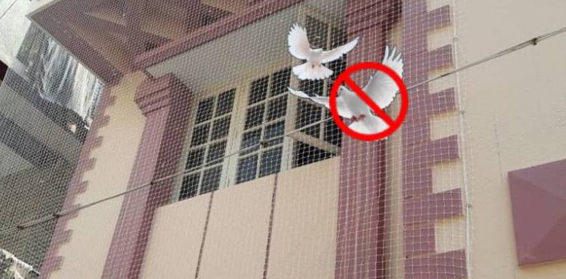 Pigeon Safety Nets Installation Cost in Kolkata | Call 9500322463 Fixing Nets
